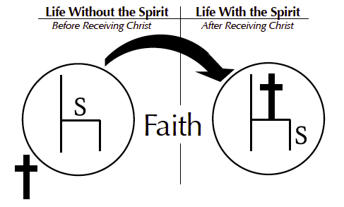 Systematic Theology 6: The Clarity of Scripture – No Cousins Left